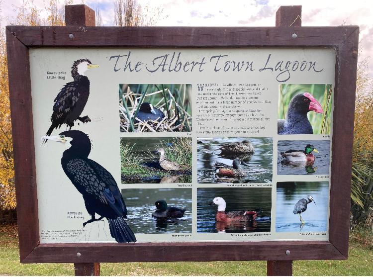 Albert Town Relaxing Getaway 아파트 외부 사진
